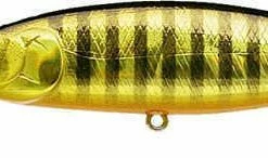 Baits Lucky Craft Pointer 100DD 4 Inch Deep Diving Suspending Jerkbait
