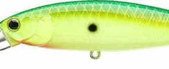 Baits Lucky Craft Pointer 100DD 4 Inch Deep Diving Suspending Jerkbait