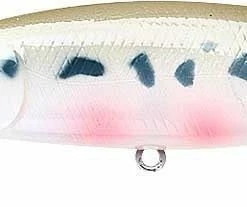 Lucky Craft Pointer 100DD 4 Inch Deep Diving Suspending Jerkbait - Clearance