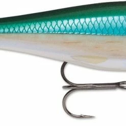 Rapala Balsa Xtreme BX Minnow 10 Medium Diving Jerkbait