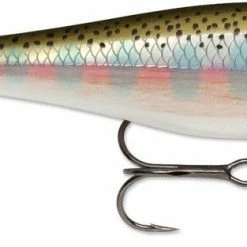 Rapala Balsa Xtreme BX Minnow 10 Medium Diving Jerkbait