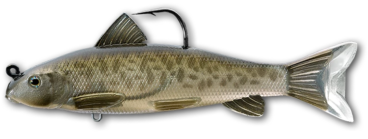 LIVETARGET Sucker Soft Body Swimbait 5 LIVETARGET Sucker Soft Body Swimbait