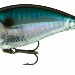 Yo-Zuri 3DB Square-Lip 2 3/4 Inch Shallow Diving Square Bill Crankbait