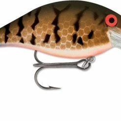 Baits Luhr-Jensen Speed Trap Crankbait