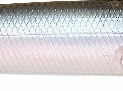 Lucky Craft Gunfish 117 Topwater Popper/Walker