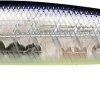 Lucky Craft Lightning Pointer 110XR Fast Diving Jerkbait