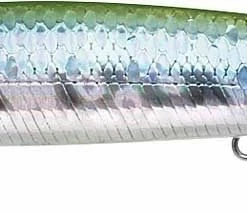 Baits Lucky Craft Saltwater Flash Minnow 110 California Inshore Fishing (CIF) Rip Bait 29 Baits Lucky Craft Saltwater Flash Minnow 110 California Inshore Fishing (CIF) Rip Bait