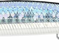 Baits Lucky Craft Saltwater Flash Minnow 110 California Inshore Fishing (CIF) Rip Bait 35 Baits Lucky Craft Saltwater Flash Minnow 110 California Inshore Fishing (CIF) Rip Bait