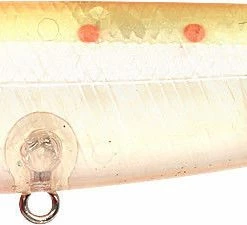 Baits Lucky Craft Sammy 100 Topwater Walker 31 Baits Lucky Craft Sammy 100 Topwater Walker