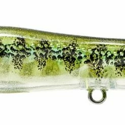 Nomad Design Chug Norris Freshwater/Inshore Popper