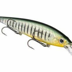 Strike King KVD 300D Series 4 1/2 Inch Deep Diving Jerkbait