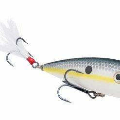 Strike King KVD Splash Topwater Popper