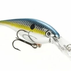 Strike King Pro Model Lucky Shad 3 Inch Crankbait