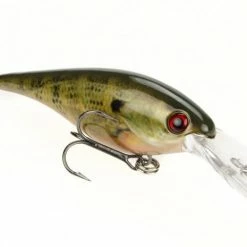 Strike King Pro Model Lucky Shad 3 Inch Crankbait