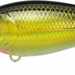 Lucky Craft Moonsault CB-100 Shallow Diving Crankbait
