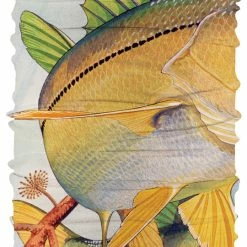 BUFF CoolNet UV+ Buffs Guy Harvey Collection