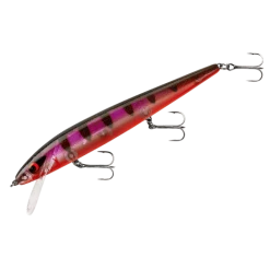 Baits Smithwick Perfect 10 Rogue 5 1/2 Inch Deep Diving Suspending Jerkbait