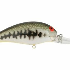 Baits Bomber Model 5A Shallow Medium Diving Crankbait