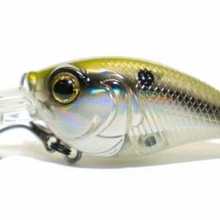 6th Sense Curve 55 Medium Diving Crankbait