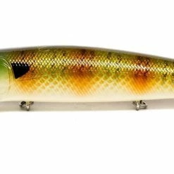 6th Sense Dogma Topwater Walker Baits