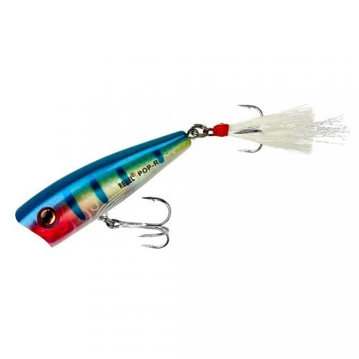 Baits Rebel Pop-R Topwater Popper 3 Baits Rebel Pop-R Topwater Popper