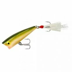 Baits Rebel Pop-R Topwater Popper 72 Baits Rebel Pop-R Topwater Popper