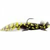 River2Sea Nest Raider 5 Inch Rigged Soft Plastic Lizard 1 River2Sea Nest Raider 5 Inch Rigged Soft Plastic Lizard