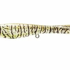 Nomad Design Dartwing Floating 70 FW Topwater Popper Baits