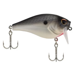 Berkley WakeBull 60/70 Waking Shallow Squarebill Crankbait