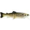 Castaic Hard Head Real Bait Swimbait 9" Slow Sinking
