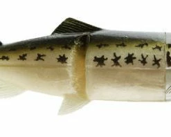 Castaic Hard Head 6 Inch Slow Sinking Soft Body Swimbait