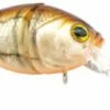 Baits River2Sea V-Crank 75 Medium Diving Crankbait