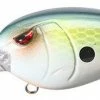 Spro Mike McClelland RkCrawler 55 Crankbait 2 Spro Mike McClelland RkCrawler 55 Crankbait