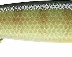 Baits Lucky Craft Flash Pointer 100 Shallow Diving Jerkbait