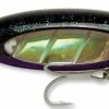 Baits Williamson Jet Popper 05