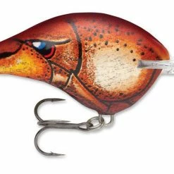 Rapala Dt Series Crankbait Dt6