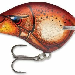 Baits Rapala Dt Series Crankbait Dt16