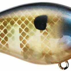 Strike King Kvd Square Bill 1.0 Silent Crankbaits