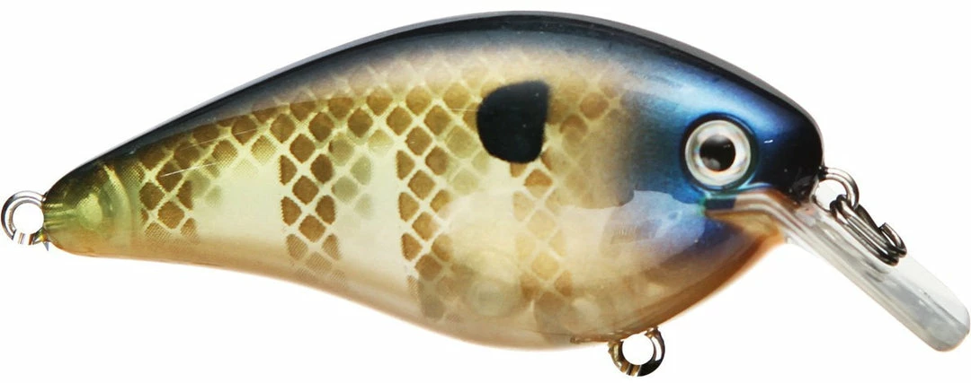Strike King Kvd Square Bill 1.0 Silent Crankbaits 4 Strike King Kvd Square Bill 1.0 Silent Crankbaits