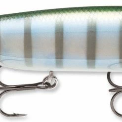 Baits Storm Arashi Top Walker 4 1/4