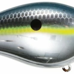 Strike King Kvd Square Bill 1.0 Silent Crankbaits 28 Strike King Kvd Square Bill 1.0 Silent Crankbaits
