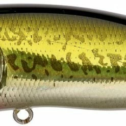 Megabass Pop Max Baits 24 Megabass Pop Max Baits