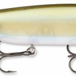 Baits Storm Arashi Top Walker 4 1/4