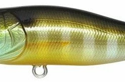 Megabass Pop-X Baits