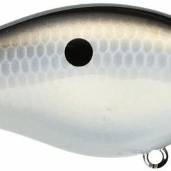 Strike King Kvd Square Bill 1.0 Silent Crankbaits 33 Strike King Kvd Square Bill 1.0 Silent Crankbaits