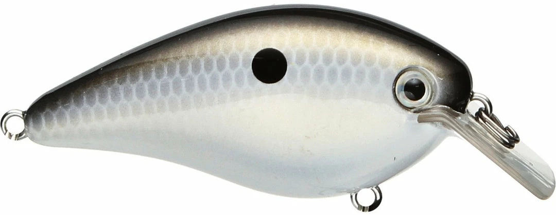 Strike King Kvd Square Bill 1.0 Silent Crankbaits 12 Strike King Kvd Square Bill 1.0 Silent Crankbaits