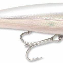 Baits Rapala X-Rap Saltwater Sxr-08 3 1/8