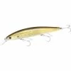 Lucky Craft Cif Surf Pointer 115 Mr Baits