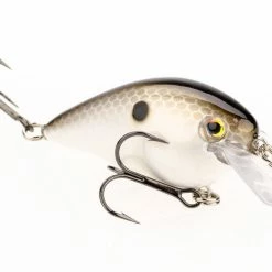 Strike King KVD Square Bill 1.5 Silent Crankbaits 48 Strike King KVD Square Bill 1.5 Silent Crankbaits