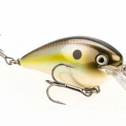 Strike King KVD Square Bill 1.5 Silent Crankbaits 63 Strike King KVD Square Bill 1.5 Silent Crankbaits